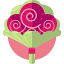 Rosaner Blumenstrauß Icon